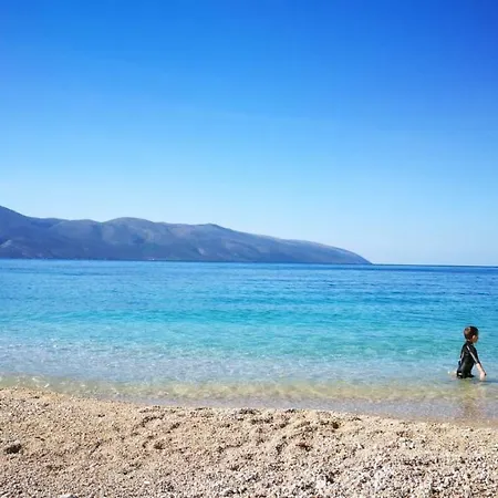 View فلورا